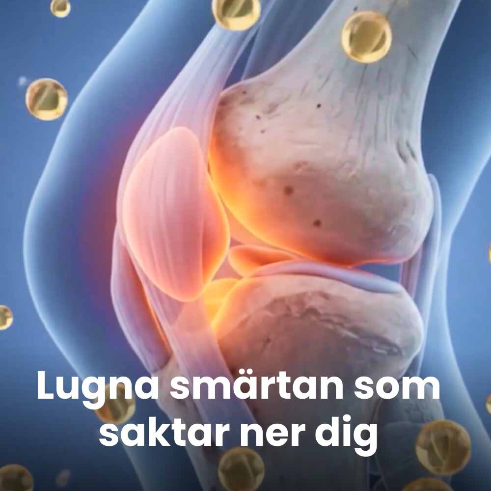 Dr. Sheenso image
