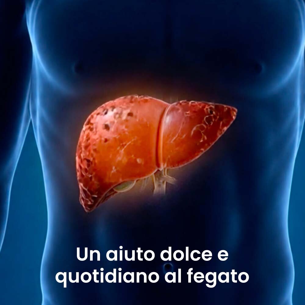 Dr. Sheenso image