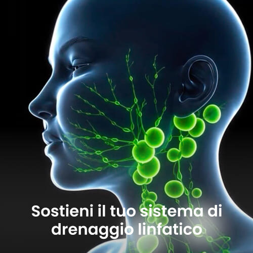 Dr. Sheenso image