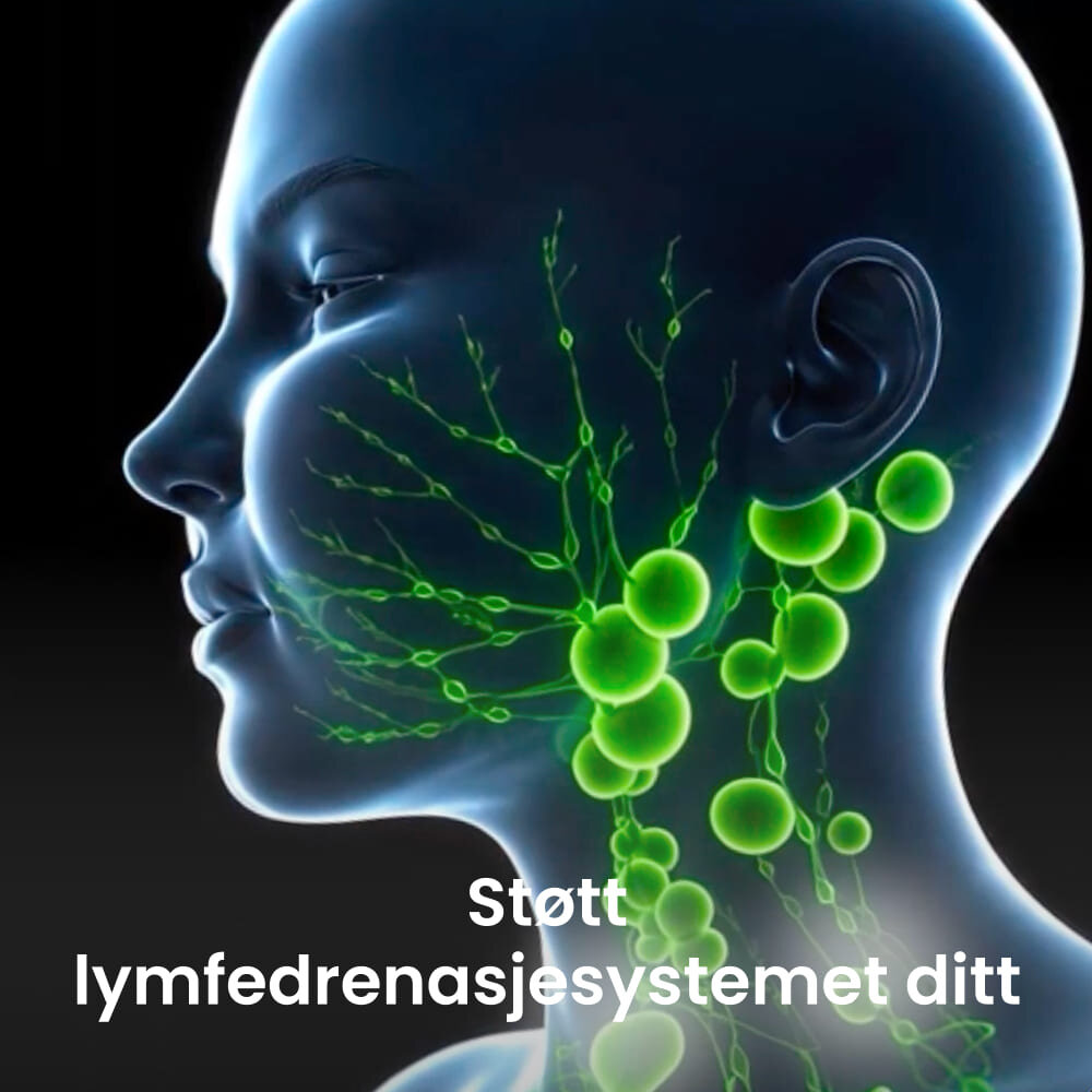 Dr. Sheenso image